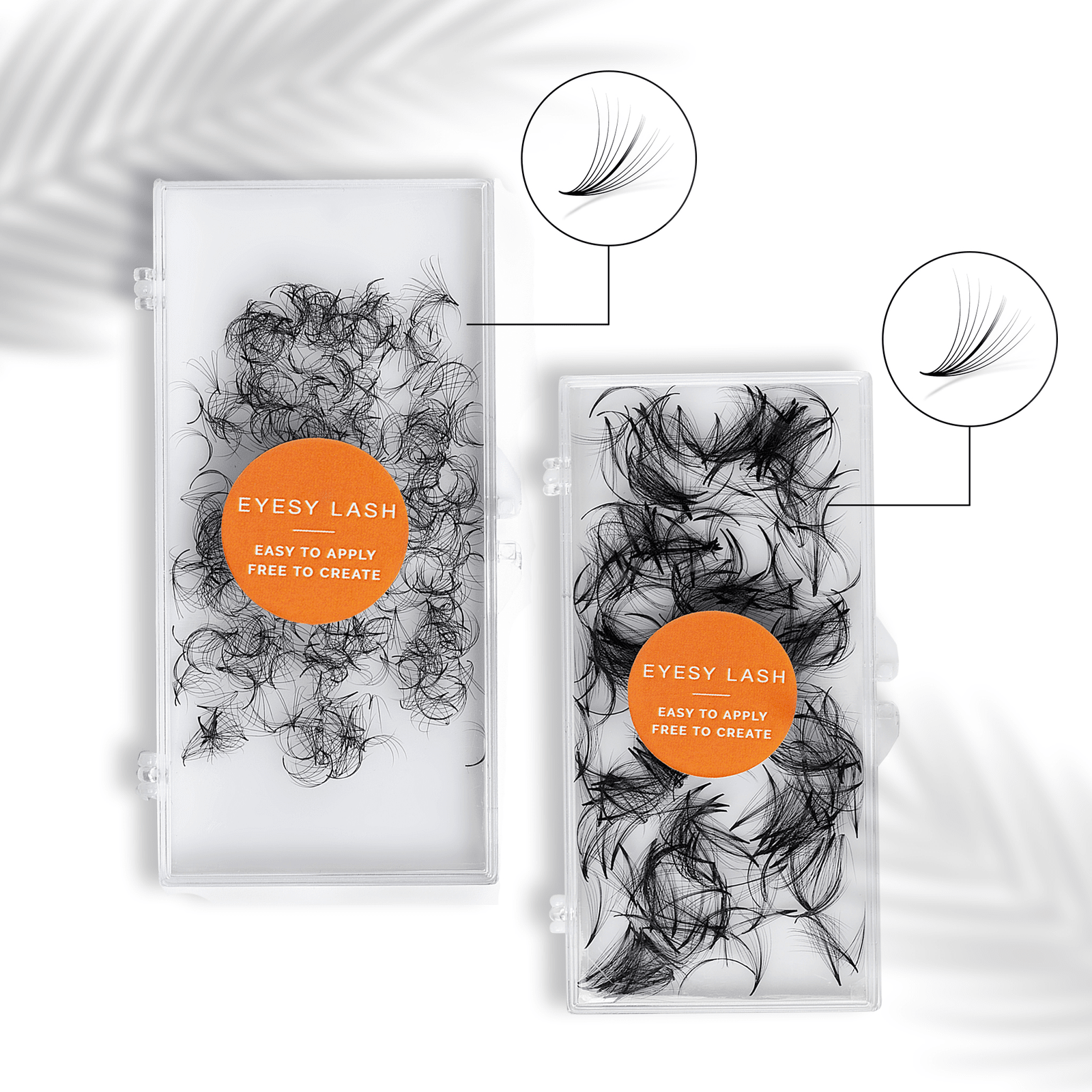 Wispy and Camellia Fans - Eyesy Lash