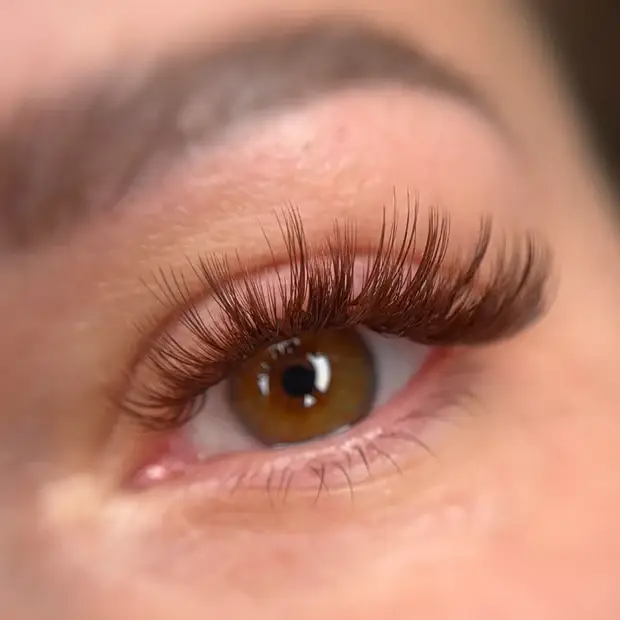 DARK BROWN Promade/Wispy Fans 3D - 9D | .07 | 500 fans | for WHOLESALE Pre-order