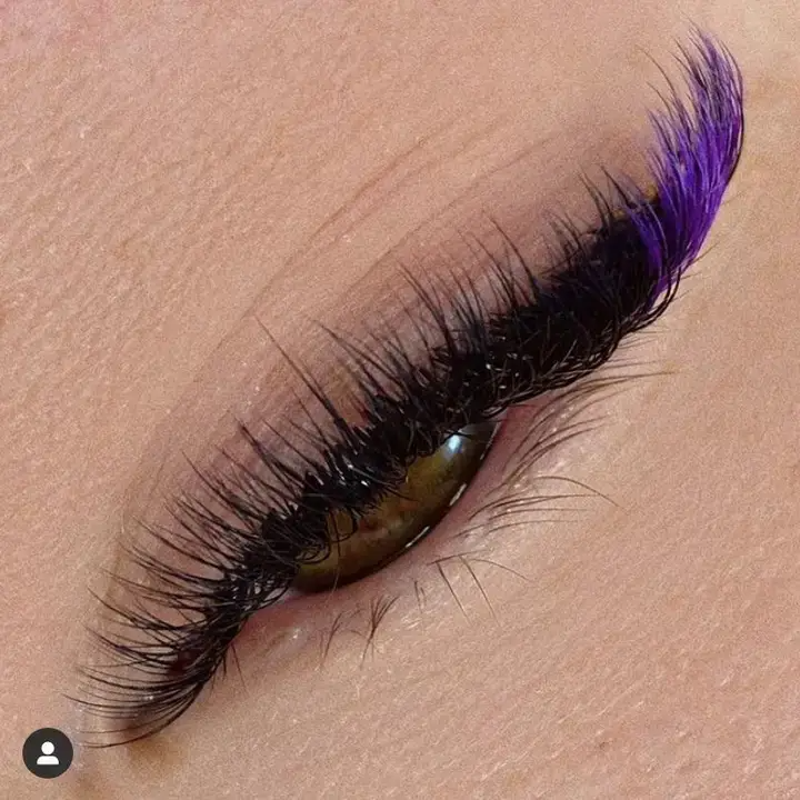 PURPLE Promade/Wispy Fans 3D - 9D | .07 | 500 fans | for WHOLESALE Pre-order