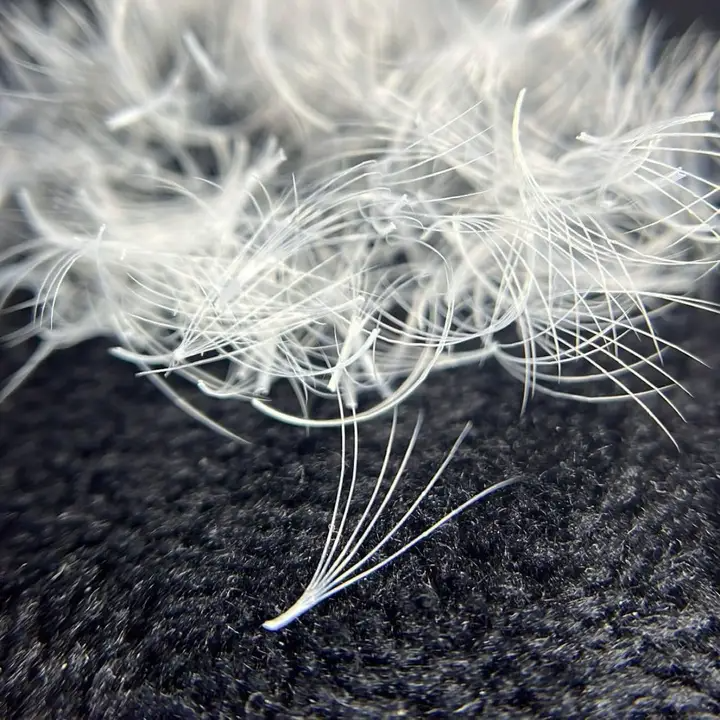 WHITE Promade/Wispy Fans 3D - 9D | .07 | 500 fans | for WHOLESALE Pre-order