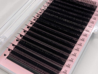 YY Lash & W 3D Lash Extensions | Easy Fan Volume Lash 0.07mm | for WHOLESALE Pre-order