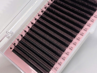 YY Lash & W 3D Lash Extensions | Easy Fan Volume Lash 0.07mm | for WHOLESALE Pre-order